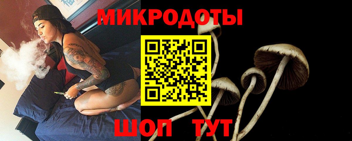Галлюциногенные грибы MAGIC MUSHROOMS Туапсе